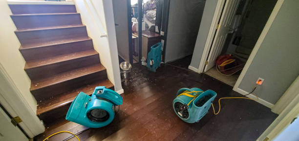 Best Fire Damage Restoration  in Waelder, TX