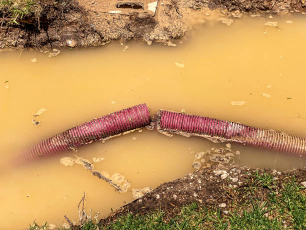 Best Professional water damage repair  in Waelder, TX